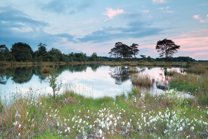 alde-feanen-friesland